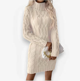High Collar Slim Knitted Long Sweater Dress