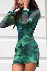 Mesh Printed Long-Sleeved Slim Dress